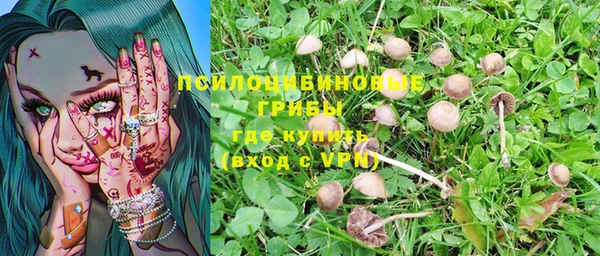 таблы Алзамай
