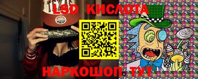 крисы Аргун
