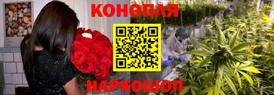 крисы Аргун