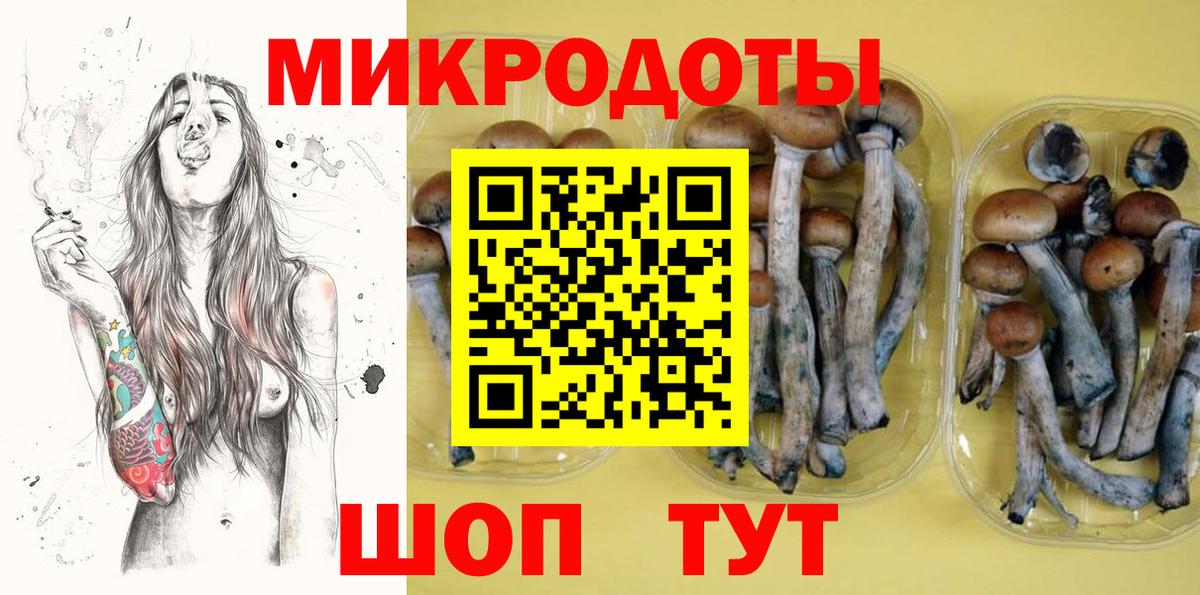 Барнаул  Псилоцибиновые грибы MAGIC MUSHROOMS  Вход с VPN  Галлюциногенные грибы Psilocybe 